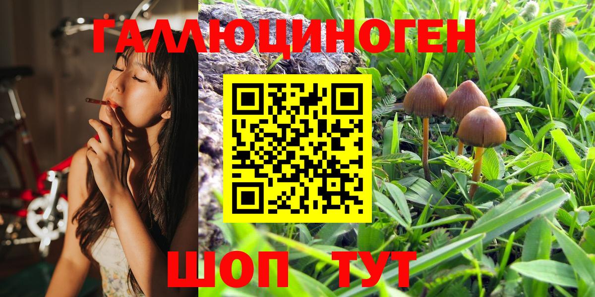 Славгород  Псилоцибиновые грибы Magic Shrooms  Псилоцибиновые грибы мухоморы  Вход с VPN 